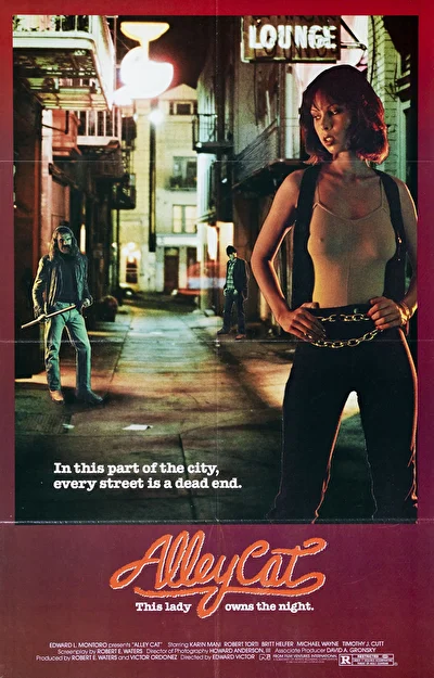 Уличная кошка (1985)