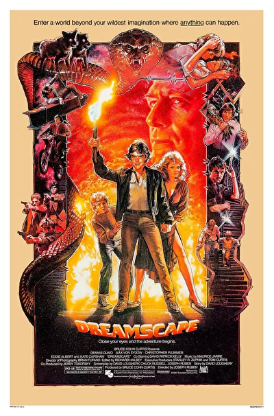 Видение (1984)