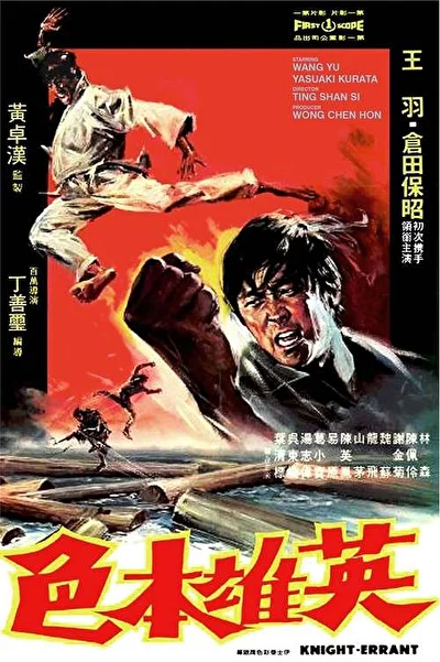 Странствующий рыцарь (1973)