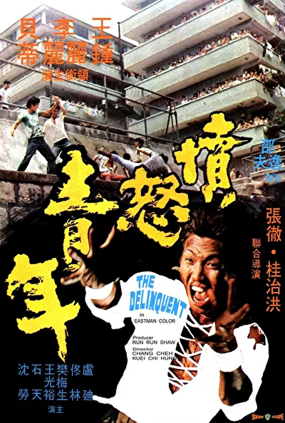Уличные банды Гонконга (1973)