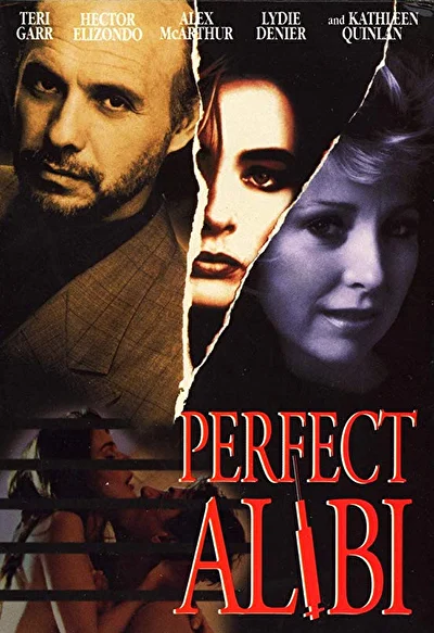 Идеальное алиби (1995)